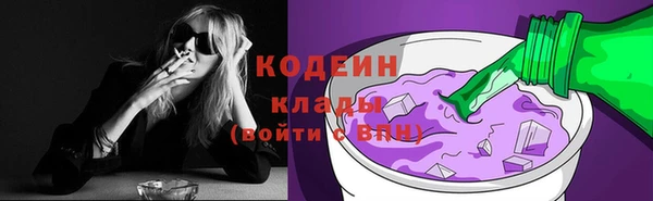 шишки Апатиты