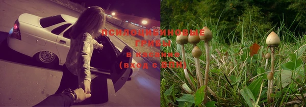 MESCALINE Михайлов