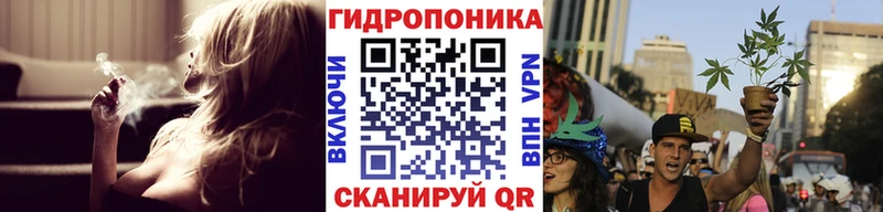 магазин продажи наркотиков  Нолинск  Бошки марихуана индика 